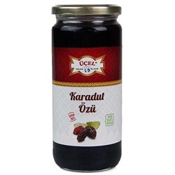 640 Gr Karadut Özü *9